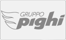 Logo Gruppo Pighi Srl
